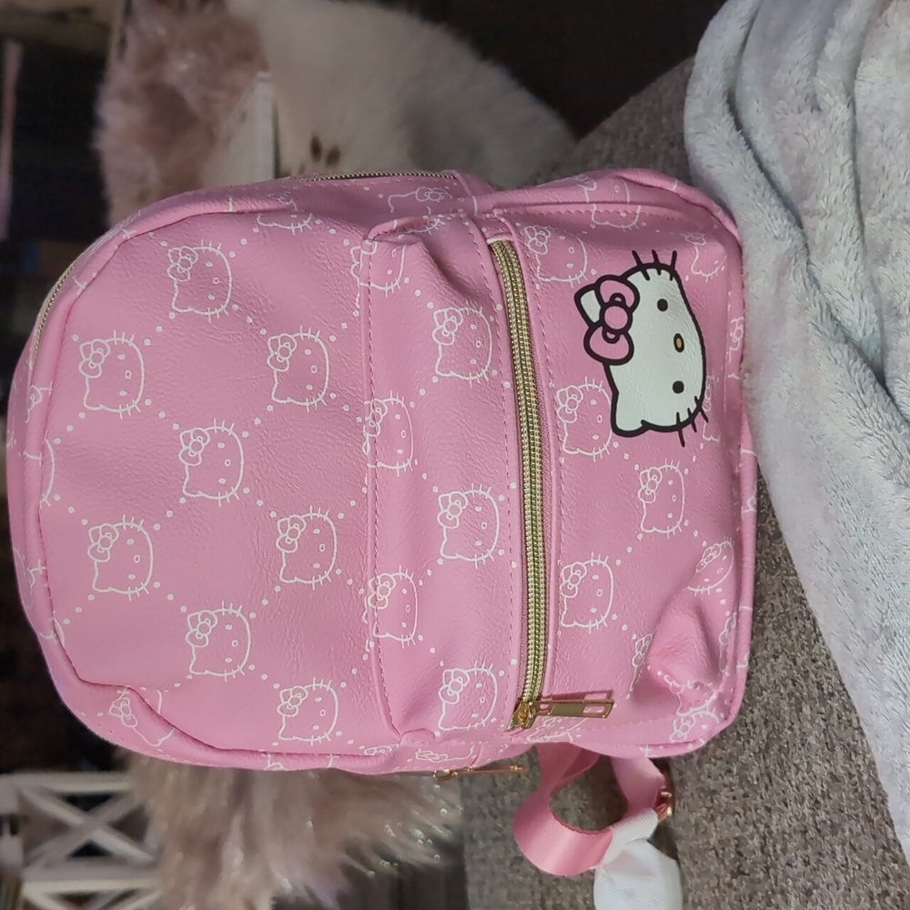 🆕 Last One Hello Kitty Backpack - Picture 4 of 4
